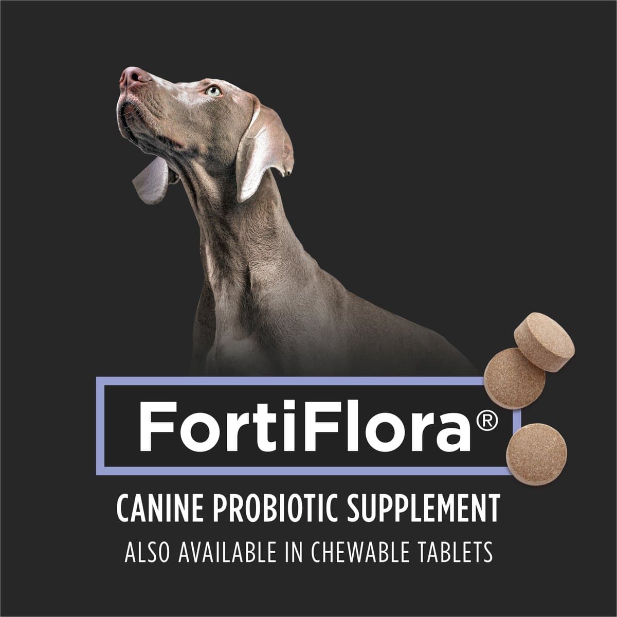 Purina Pro Plan Veterinary Diets FortiFlora Dog Probiotic Supplement